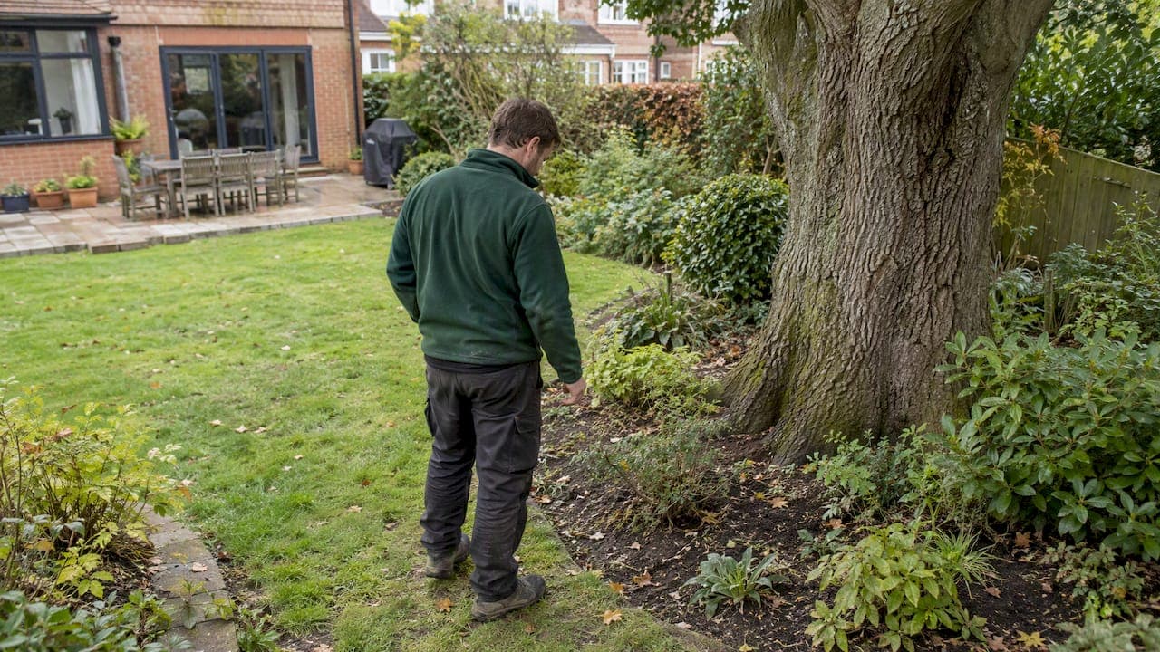 Landscaping in Hertfordshire: Avoid TPO Delays With One Insured Team